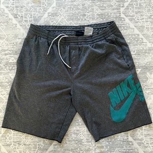 Nike SB Men’s Shorts Size Large Dri Fit